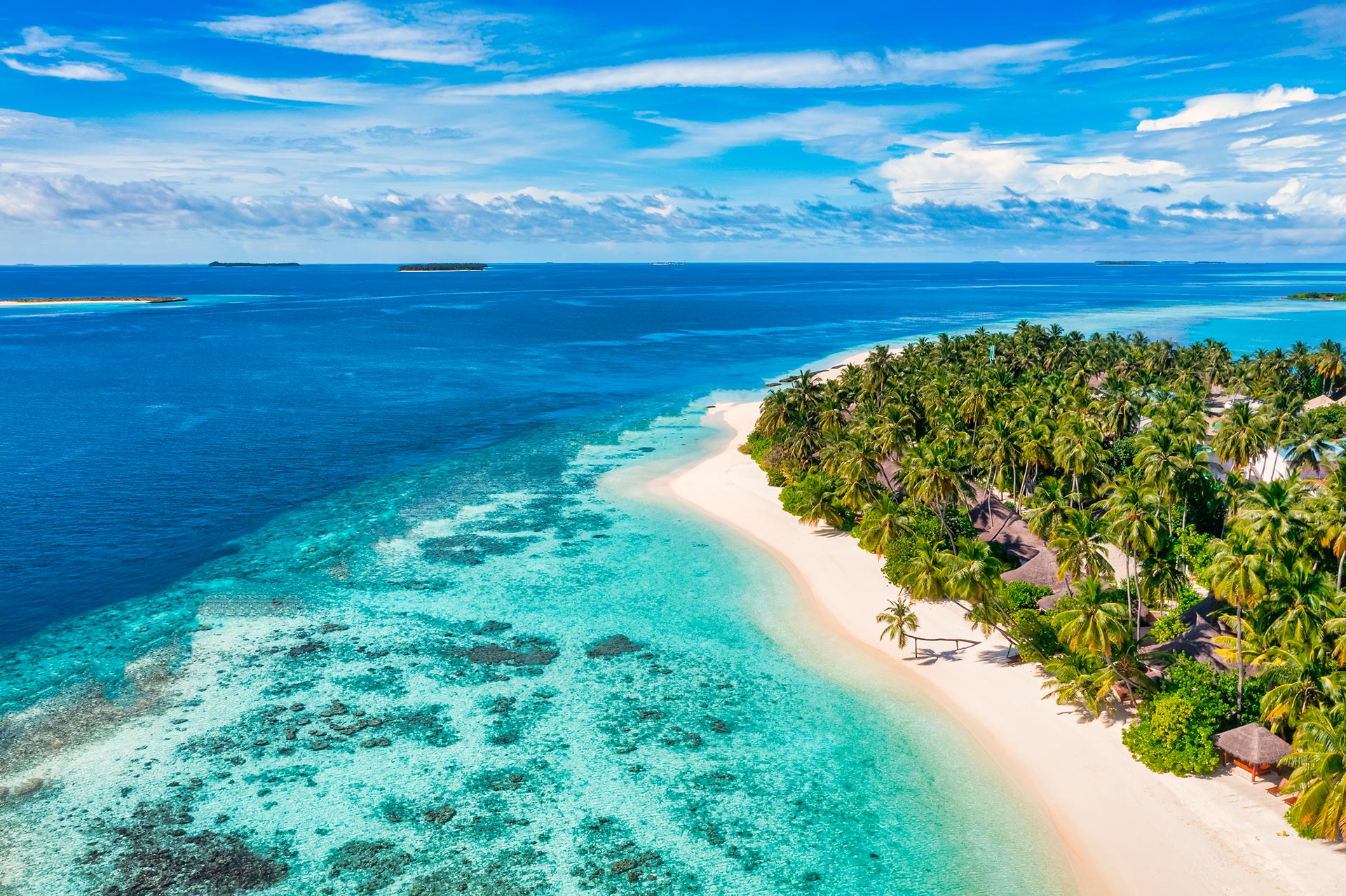 Vue aérienne d’une plage paradisiaque – Image 5